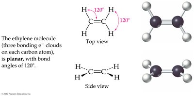 Molecular geometry in larger molecules
