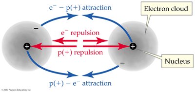 Attractive and repulsive forces in a covalent bond