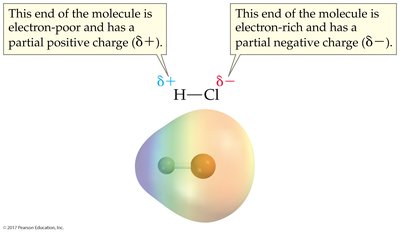Bond polarity in HCl