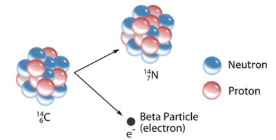 Radioactive decay of carbon-14