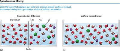 Spontaneous mixing of solutions