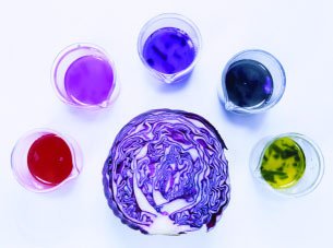 Red cabbage as a natural acid–base indicator