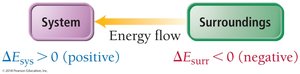 Energy flow: endothermic
