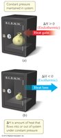 Endothermic and exothermic processes