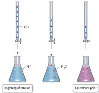 Titration curve: weak base with strong acid