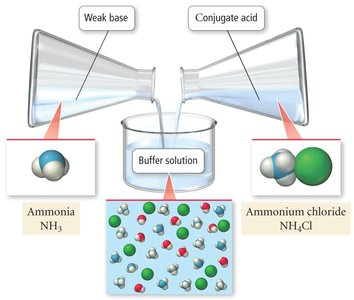 Ammonia/ammonium buffer system