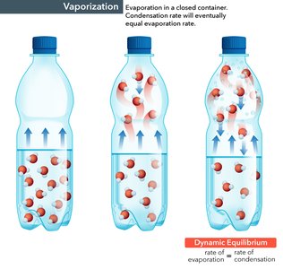 Dynamic equilibrium in vaporization and condensation