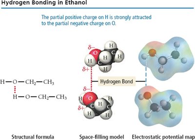Hydrogen bonding in ethanol