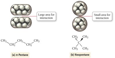 Surface area for interaction in n-pentane vs. neopentane
