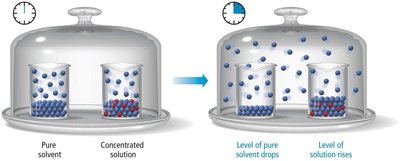Raoult's Law for vapor pressure lowering