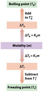 Flowchart for freezing point depression calculation
