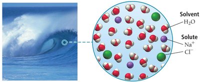 Diagram of seawater as a solution with water as solvent and Na+ and Cl- as solutes