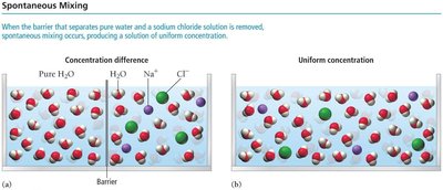 Spontaneous mixing of water and sodium chloride solution