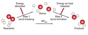 Bond breaking and formation in a reaction
