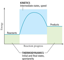 Kinetics vs Thermodynamics energy diagram