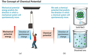 Mechanical and chemical potential