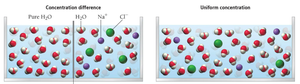 Mixing of solutions increases entropy