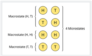 Microstates and macrostates for coin flips