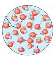 Liquid H2O structure