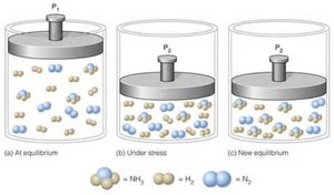 Effect of volume change on equilibrium