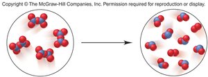 Molecular scene for N2O5 decomposition