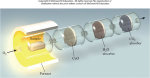 Combustion analysis apparatus