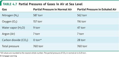 Partial pressures of gases in air