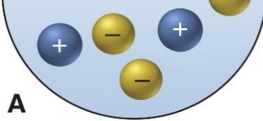 Ion-ion force diagram