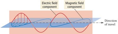 Electromagnetic wave showing electric and magnetic field components