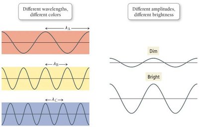 Different wavelengths and amplitudes of waves