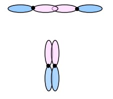 Sigma and pi bond orbital overlap diagrams