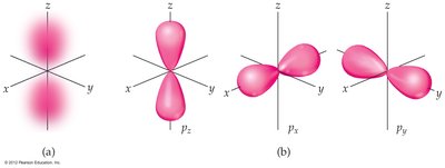 Shapes of p orbitals