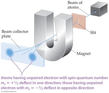 Stern-Gerlach experiment showing electron spin