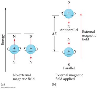 Energy splitting due to electron spin