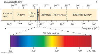 Electromagnetic spectrum with visible region highlighted