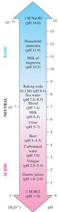 pH scale with common substances