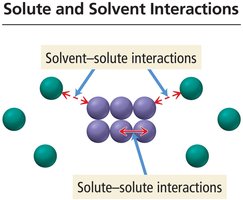 Solute and solvent interactions