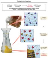 Precipitation reaction example