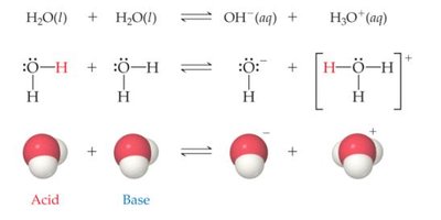 Auto-ionization of water: molecular and symbolic representation