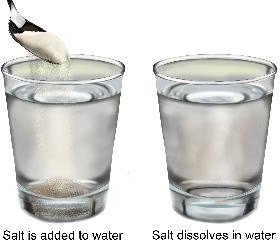 Salt dissolving in water