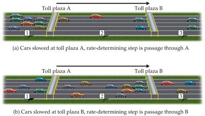 Toll plaza analogy for rate-determining step