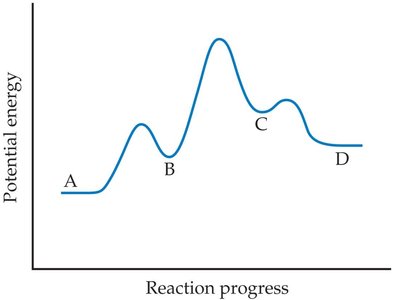 Potential energy diagram with intermediates and rate-determining step