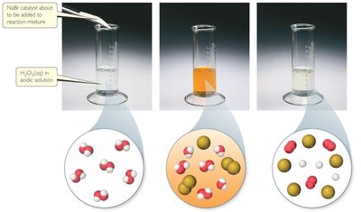Catalyzed decomposition of hydrogen peroxide steps
