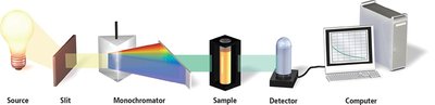 Diagram of spectrophotometry setup