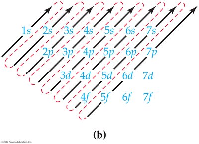 Order of orbital filling