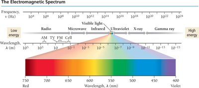 The electromagnetic spectrum, showing frequency, wavelength, and visible light region