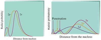 p orbital shapes and orientations