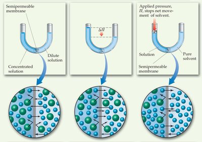 Osmosis and osmotic pressure