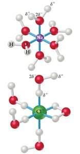 Ion-dipole interactions in solution