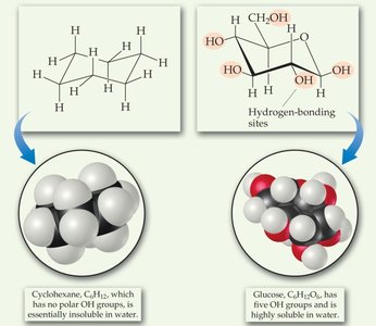 Solubility of glucose vs cyclohexane in water